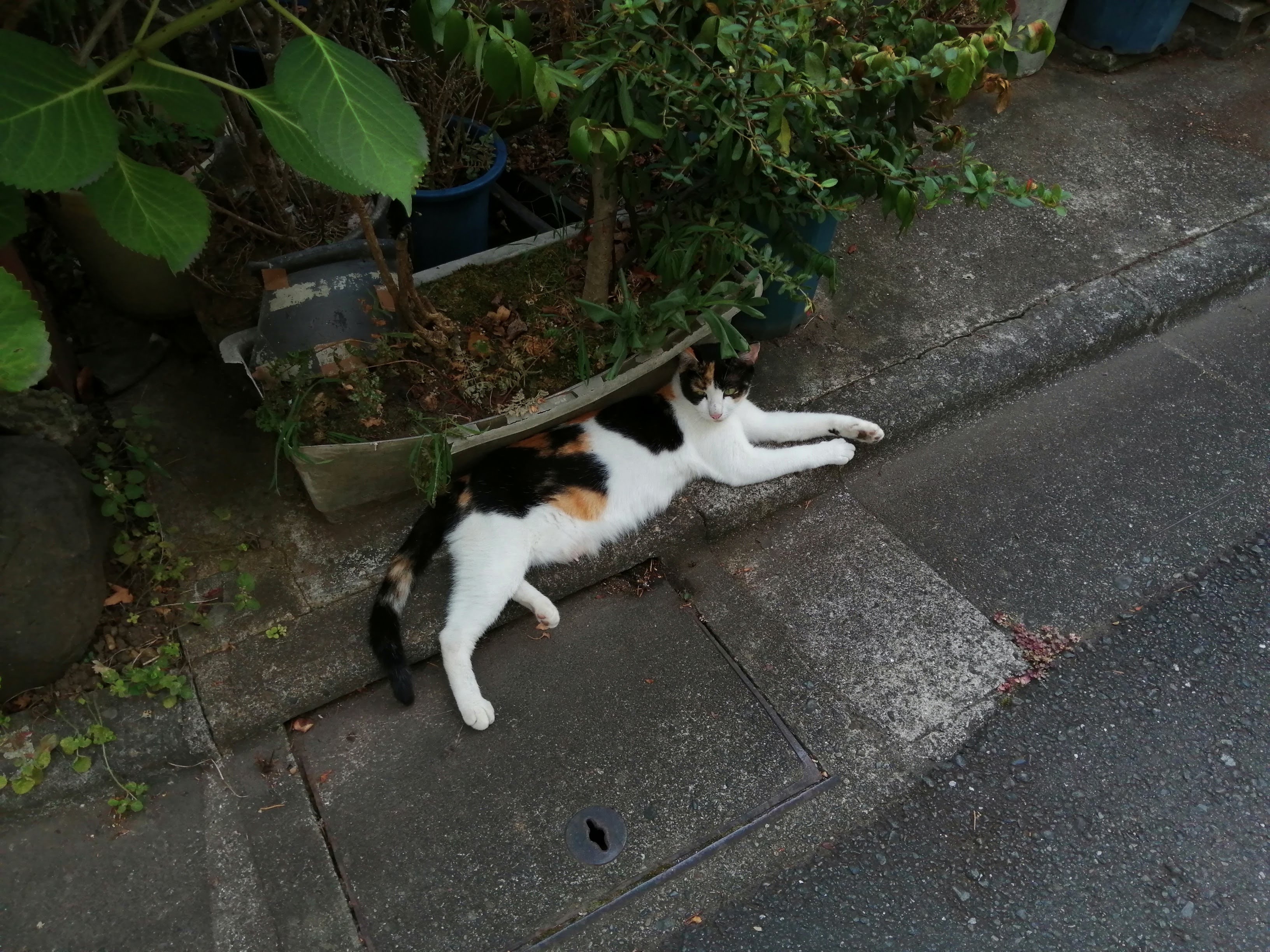 お手入れはこまめに。